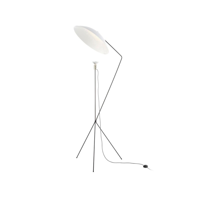 Solveig lattiavalaisin