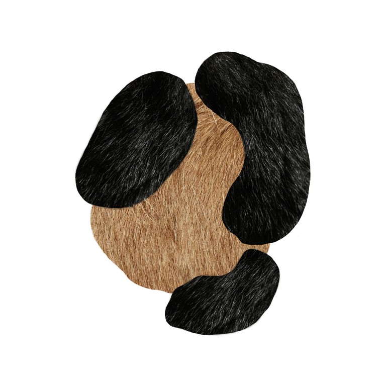 Bearded Leopard matto