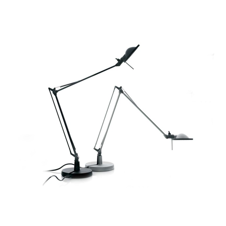 Berenice pöytävalaisin