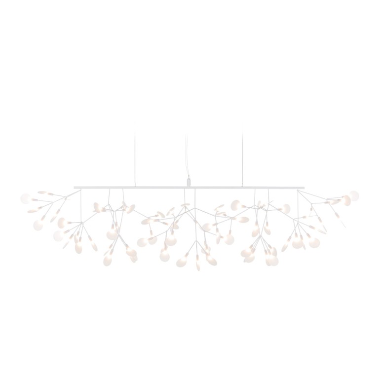 Heracleum III Linear kattovalaisin