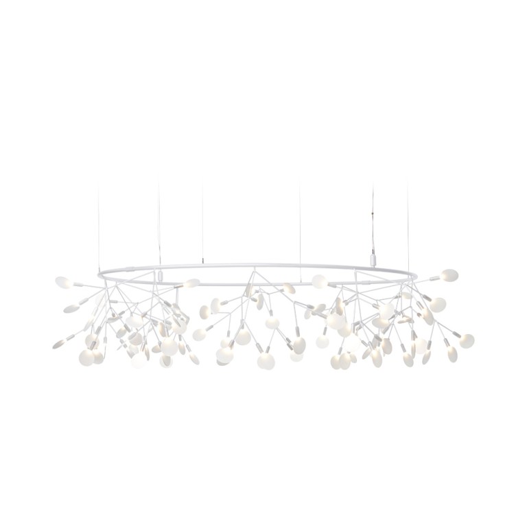 Heracleum III The Big O kattovalaisin