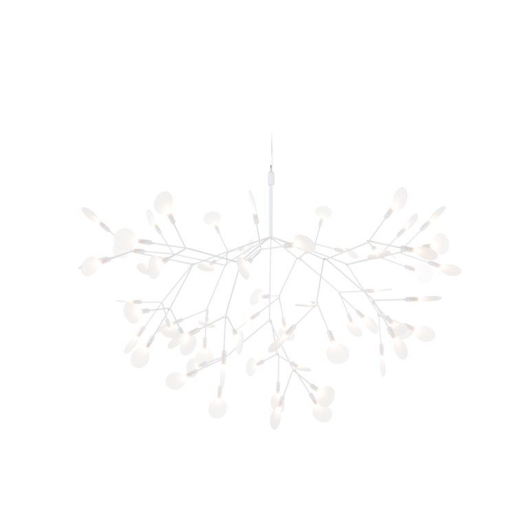 Heracleum III kattovalaisin