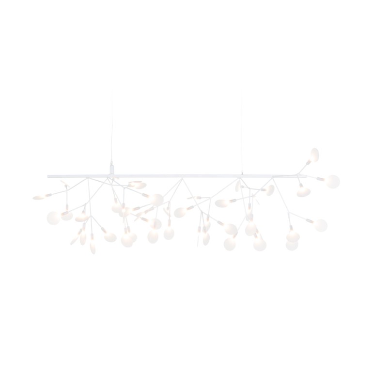 Heracleum III Endless kattovalaisin