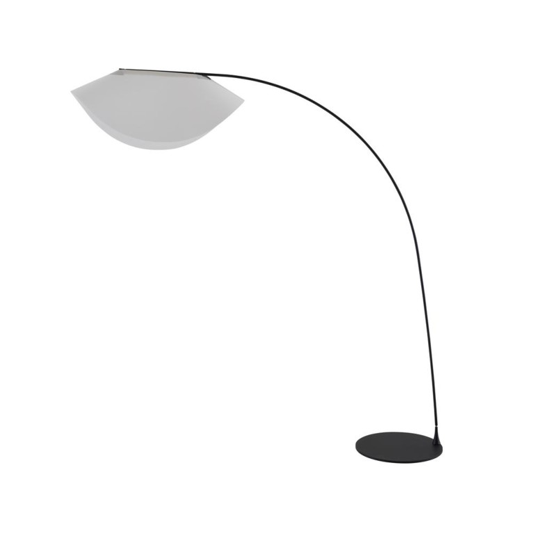 Felia lattiavalaisin