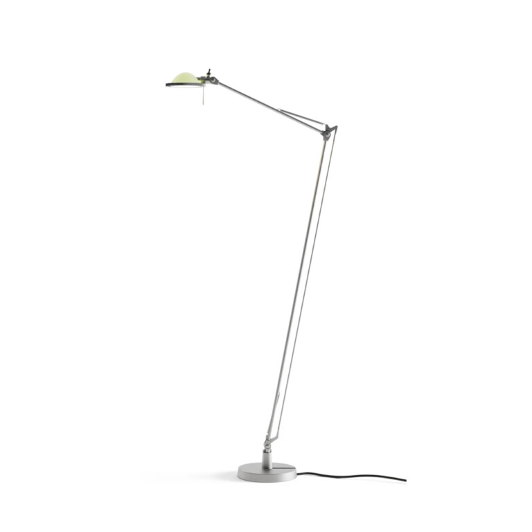 Berenice lattiavalaisin